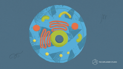 640 (3).gif